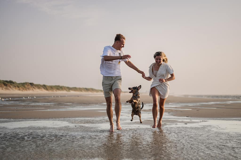 hondenfotograaf Aalst, hondenfotograaf Brussel, hondenfotograaf Gent, hondenfotograaf Antwerpen, hondenfotograaf België, honden fotograaf, fotoshoot hond, honden fotoshoot, hondenfotoshoot, fotoshoot met hond, fotoshoot hond en baas, fotoshoot met je hond, dierenfotograaf, dierenfotografie, dierenfotoshoot, fotoshoot mens en dier, fotoshoot mens en hond, mens en hondenfotograaf, puppyfotograaf, puppyfotografie, puppyfotoshoot, fotoshoot puppy, fotoshoot met huisdier, huisdierenfotograaf, huisdierenfotografie, fotograaf huisdier, fotograaf hond, fotograaf honden