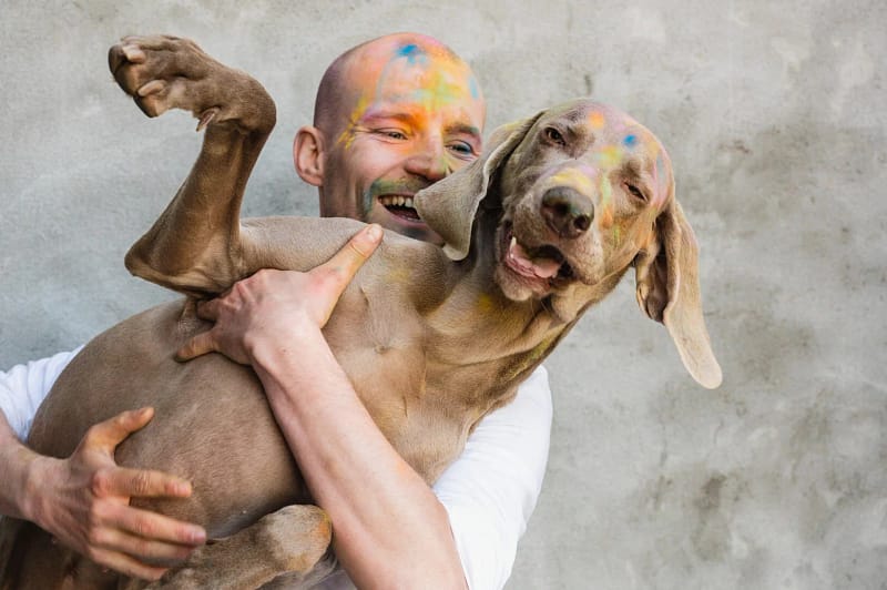 kleurpoedershoot hond