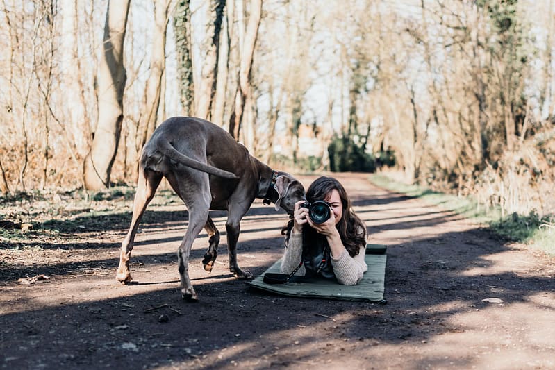 fotoshoot met je hond bij hondenfotograaf aalst