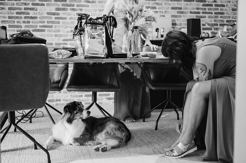 hond betrekken op je huwelijk