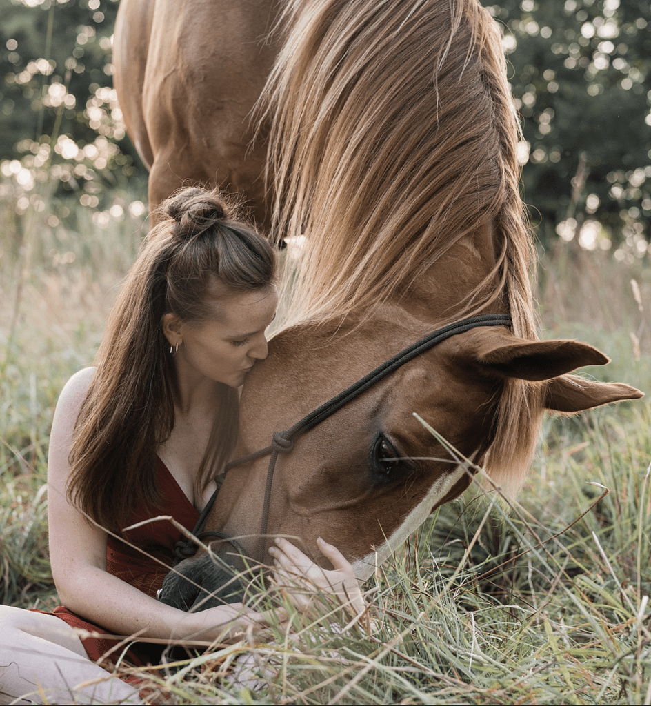 paardenfotograaf, fotoshoot paard, paardenfotoshoot