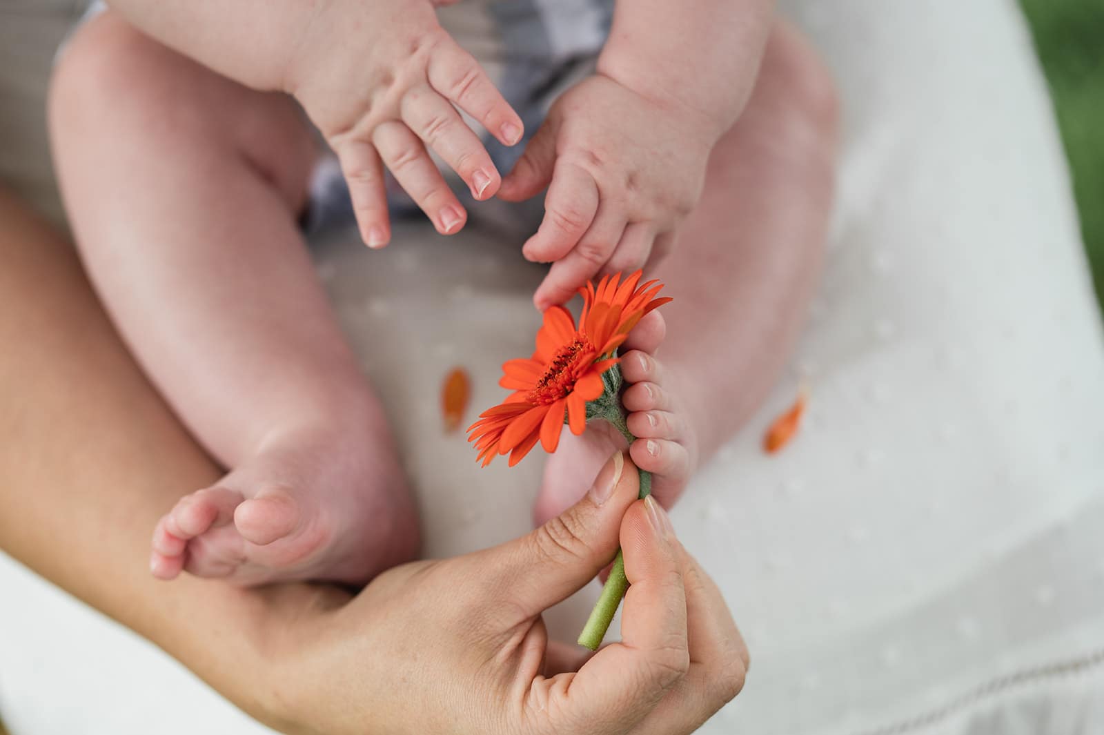 lifestyle fotografie Aalst