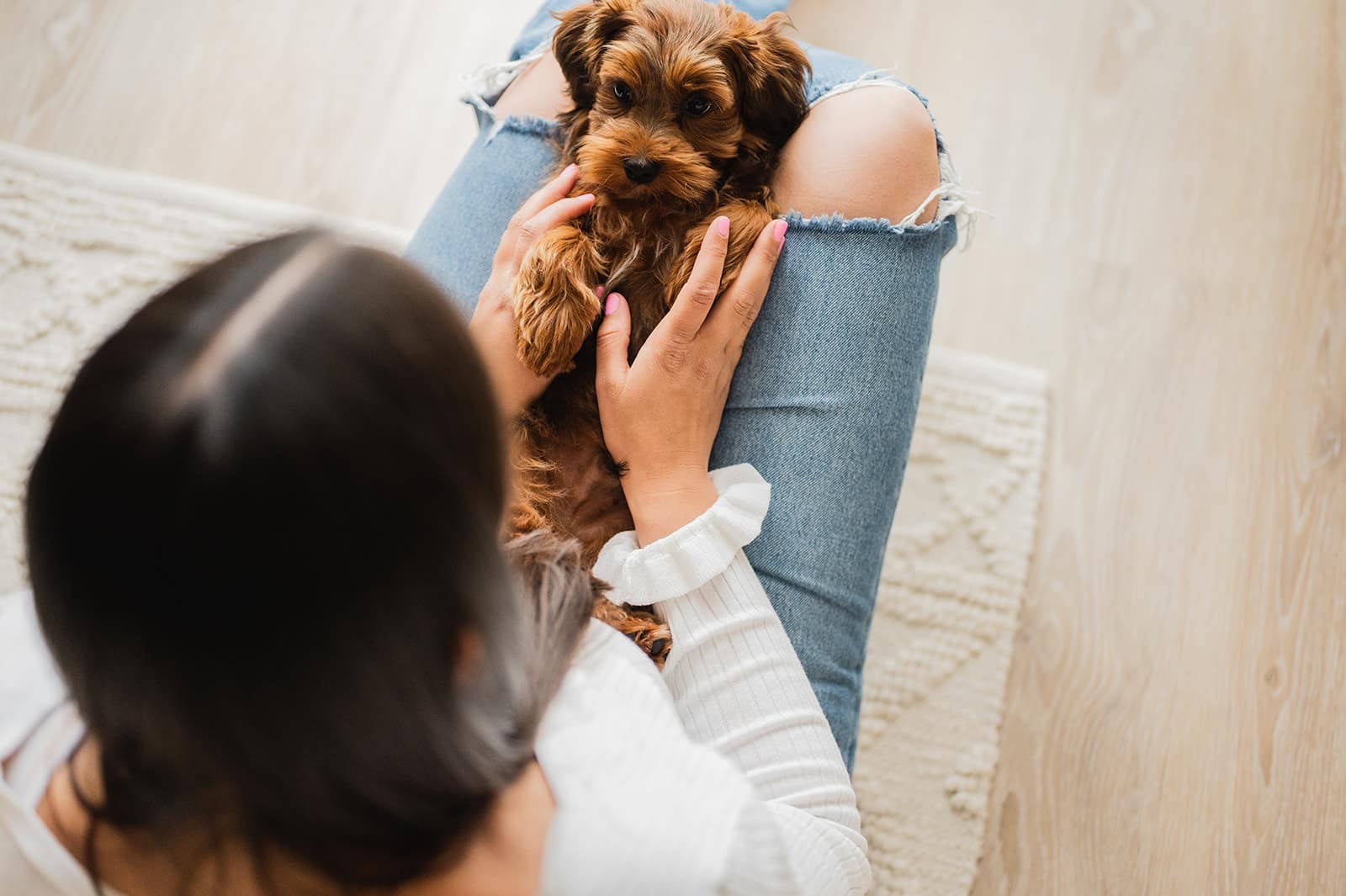 fotoshoot hond en baas