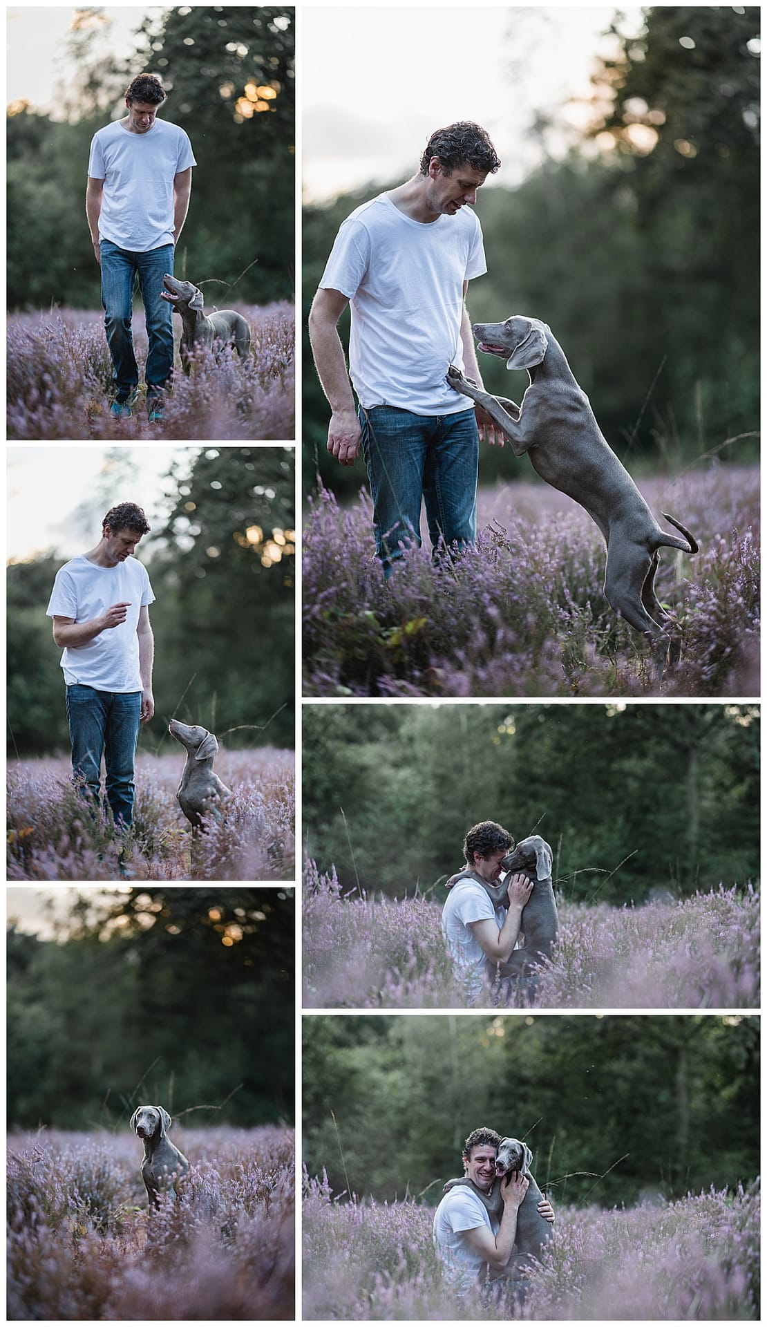 foto's met je hond op paarse heide
