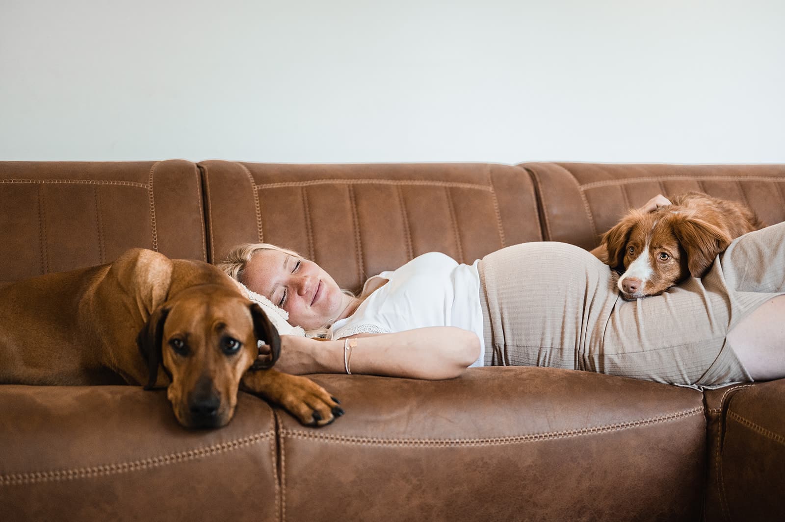 Zwangerschapsfoto’s met je hond bij mens en hondenfotograaf Haaltert - Denderhoutem - Ninove